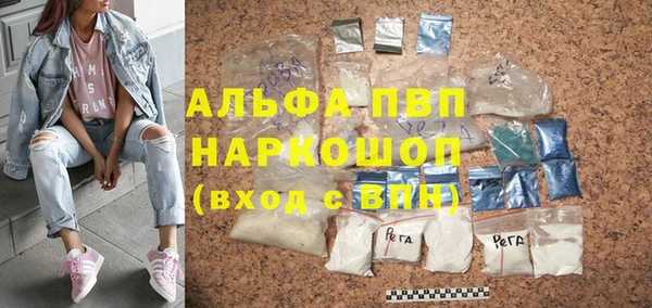 гашик Нефтекумск