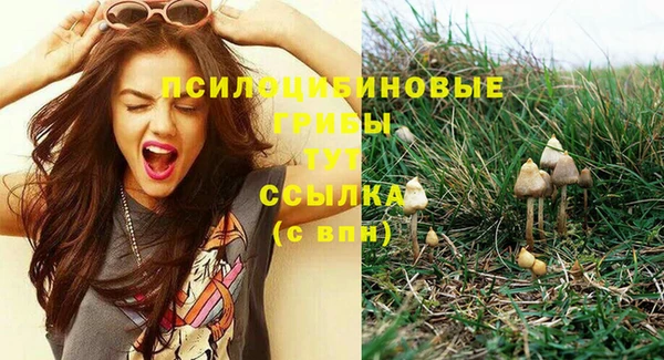 бутират Беломорск
